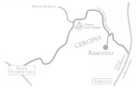 Azienda Agricola Podere Riseccoli di Riccardo Modesti — foto 7