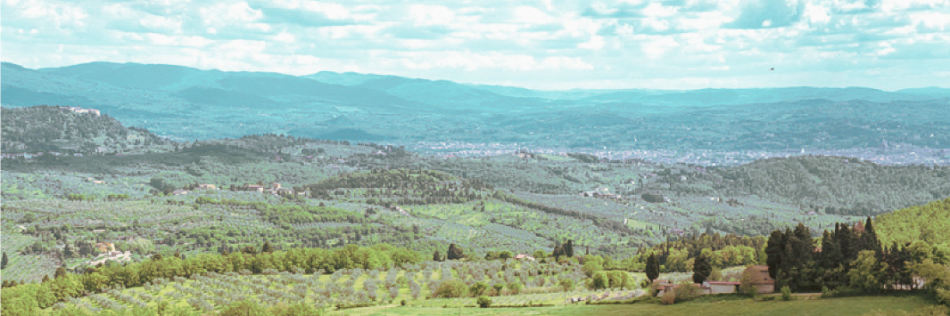 Azienda Agricola Podere Riseccoli di Riccardo Modesti — foto 3